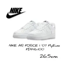 NIKE AIR FORCE 1 '07 FlyEase FD1146-100