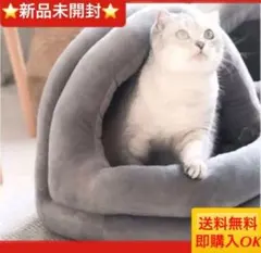 Item thumbnail for item cfc4b5bb-5413-4e52-b659-c2df1069bc78