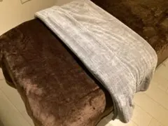 お買い得セット　柔らか大判ブランケット2品