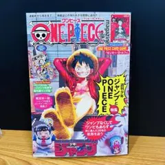 【雑誌のみ】 ワンピースマガジン 20号 ONE PIECE magazine