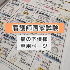 看護師国家試験 猫の下僕様専用ページ