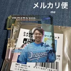 Item thumbnail for item 6ed75649-0582-4fb3-9af9-ef427eac15ce