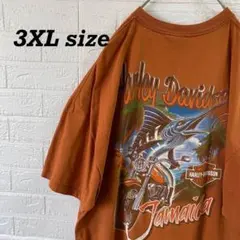 ハーレーダビッドソン　超オーバーサイズ　バックロゴTシャツ