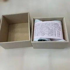 信楽焼 陶器カップ 2個セット