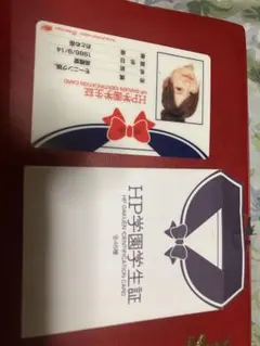 Item thumbnail for item 8554af58-fc2d-4c64-9060-fe8674603cc8