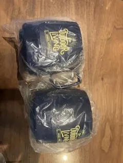 Item thumbnail for item ec8dbe7c-b761-465f-8d0d-5b9e3c255292