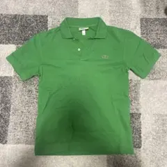 LACOSTE 緑色 ポロシャツ Sサイズ