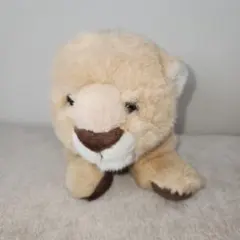 ヒロクンハウス ライオンの赤ちゃん ぬいぐるみのサムネイル