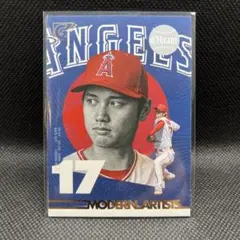 まぐけん様 リクエスト 2点 まとめ商品