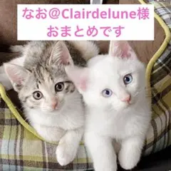 なお＠Clairdelune様 リクエスト 2点 まとめ商品