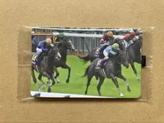 2700 菊花賞　エネルジコ　まねき馬倶楽部　競馬　カード