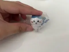 ハチワレ　つまんでつなげてますこっと