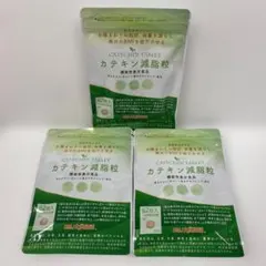 2025年最新】カテキン減脂粒の人気アイテム - メルカリ