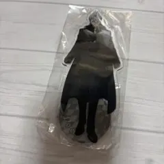 限定 ブラッククローバー 37巻ゼブラック当選品 アスタ&ユノ アクリル
