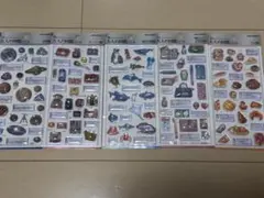 大人の図鑑シール 3D 5枚セット 国内正規品