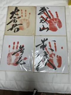 那須川天心vs武尊　直筆サイン色紙 A様専用 武尊&那須川天心 直筆サイン色紙2枚セット - メルカリ