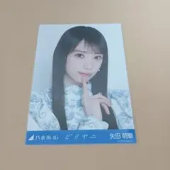 乃木坂46矢田萌華 生写真 ビリヤニ 5種コンプ - メルカリ