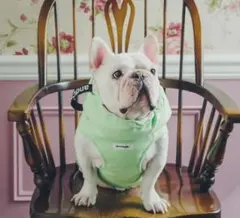 Item thumbnail for item 9345cb47-94f5-4b5c-a357-252cd20033b7