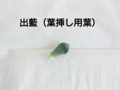 ハオルチア　ハオルシア　出藍　葉挿し　葉のサムネイル
