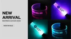 Item thumbnail for item d87d6ead-c39c-4ca3-a64b-678b81a47427