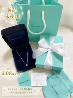 【定価約27万円・新品】大粒✴︎ダイア0.17ct バイザヤードネックレスシルバー 定価約27万円・新品】大粒ダイア0.17ct バイザヤードネックレス