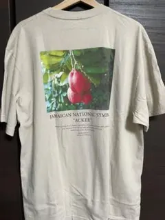 Item thumbnail for item e37a556c-bebf-4f33-a1e8-6dde9830a610