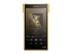 貴重ソニー生産完了品SONY NW-WM1Z極美品+SONY純正各種新品+オマケ