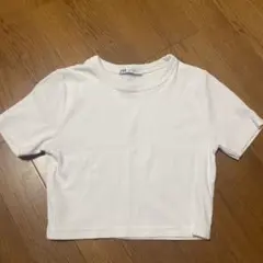ZARA ホワイト Tシャツ Mサイズ