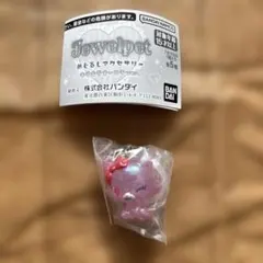 ガチャガチャ　ジュエルペット　めじるしアクセサリー　キラキラオーロラver.