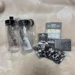 【最終値下げ】Stray Kids アプグレグッズ　dominATE エコパ