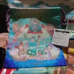 2025ディズニーシー　24周年 巾着
