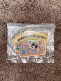 ディズニー　アクリルキーホルダー