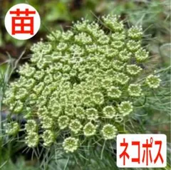 あちぇみ様 リクエスト 2点 まとめ商品