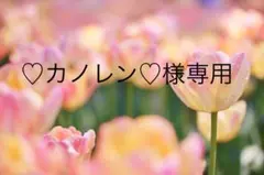♡カノレン♡さま専用