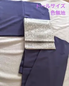 帯とセット 紗 着物｜紫 柳縞｜単衣としても着用可｜トールサイズ