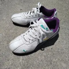 Item thumbnail for item 418fe317-1a13-48d8-90bc-1a64679f7bab