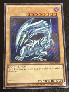 2026年最新】遊戯王ブルーアイズホワイトドラゴンの人気アイテム