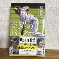 奇跡のバックホームのサムネイル