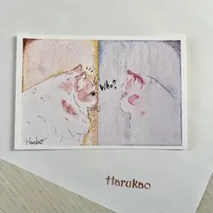 ポストカード⭐︎（原画コピーです）見つめる猫さん