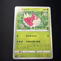 ケムッソ C s10a 004/071