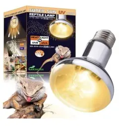 Item thumbnail for item 9a4d0c2a-575c-4c77-9cfd-88b69d883e79