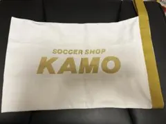 Item thumbnail for item 01cbaf18-462a-4131-a781-ad536515722d