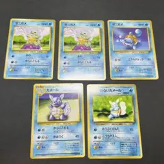 旧裏 ゼニガメ わるいカメール カメール