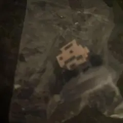 Item thumbnail for item 37e884ba-34cc-4d2d-8650-a3fa92e3ba23