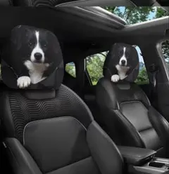 Item thumbnail for item 35454a8a-93a5-4e86-bdf8-0e81b571721d