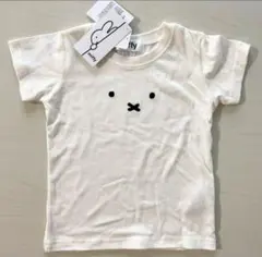 Item thumbnail for item a44ff926-4426-4799-98d5-c9945d55faf6