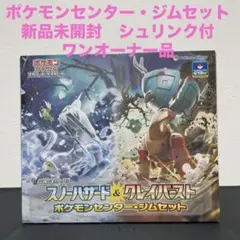 スノーハザード&クレイバースト ポケモンセンター・ジムセット シュリンク付き1個