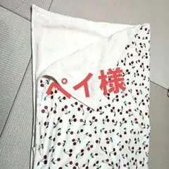 Item thumbnail for item 13f8773b-5803-462d-98eb-75df278e599d