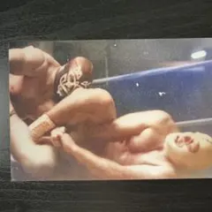 2026年最新】ザ・デストロイヤーの人気アイテム - メルカリ