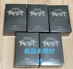 ALD1 少年BEAST アルバム Hissing Ver. 未開封 5点